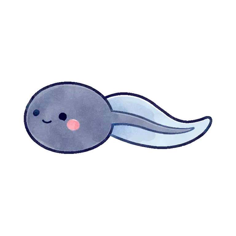 tadpole