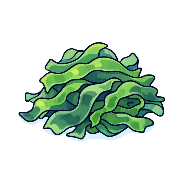 seaweed